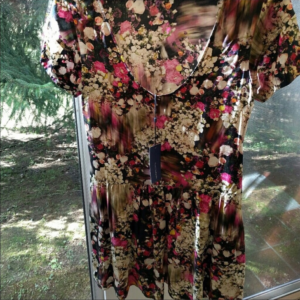 NWT Luella Floral Rebecca Minkoff Dress - Size 2! - Picture 3 of 8